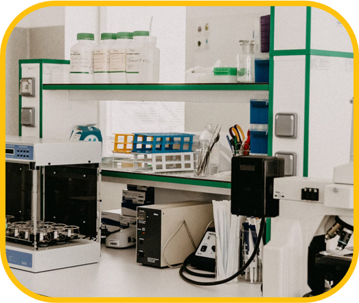 Lab